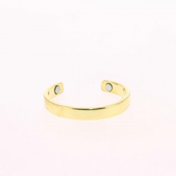 Bague PAPAYE 2 aimants