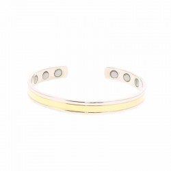 Bracelet CUMIN 6 aimants