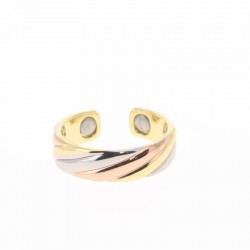 Bague ANIS 2 aimants