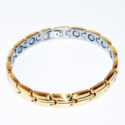 Bracelet acier BOULEAU doré