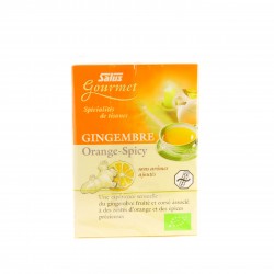 Tisane Gingembre Orange Épices - 15 Sachets - Salus