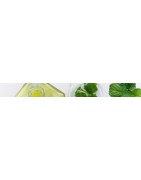 Huiles essentielles bio : Patchouli, Ravinstara, Argan | Hyperbio.com