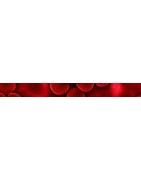 Thés, tisanes et infusions pour la circulation sanguine