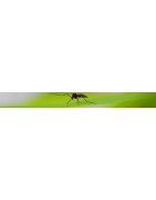 Huiles essentielles anti-insectes