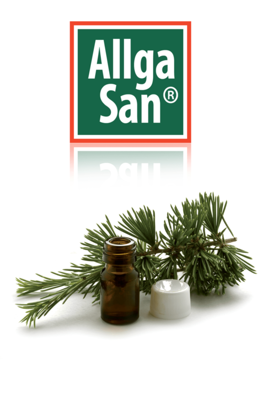 Allga San