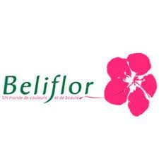 Beliflor Tek
