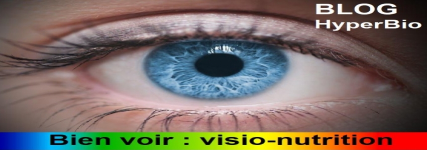 Vision