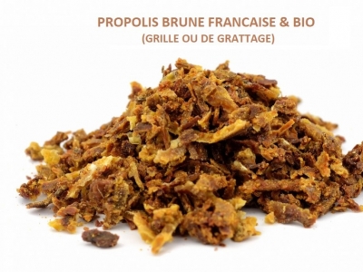 LA PROPOLIS BIO FRANCAISE, le meilleur choix de qualité pour l'immunité