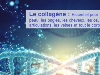 LE COLLAGÈNE : extraordinaire régénérateur de la peau et des articulations