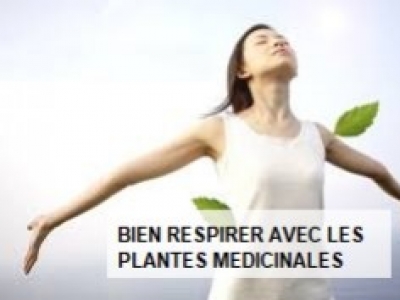 LES PLANTES  pour protéger notre système respiratoire