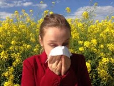 Les allergies et  Le rhume des foins, les compléments alimentaires Bio efficaces