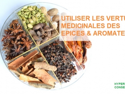 Epices et aromates alimentaires : Quels sont leurs bénéfices pour la santé ?