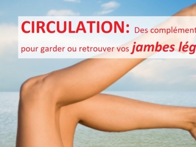 La circulation sanguine : Notre système veineux