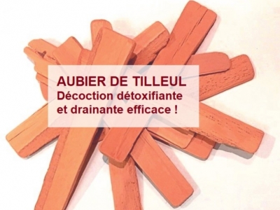 Aubier de tilleul en Copeaux, en Bâtons en DÉCOCTION et extrait liquide