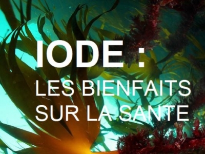 IODE : LES BIENFAITS SUR LE MÉTABOLISME